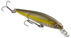 Strike King KVD 100 Series Suspending Shallow Jerkbait -Sport Fishing Shop 32272586473561