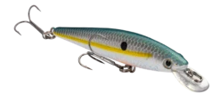 Strike King KVD 100 Series Suspending Shallow Jerkbait -Sport Fishing Shop 32272586506329