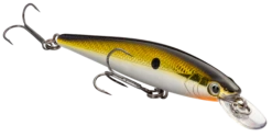 Strike King KVD 100 Series Suspending Shallow Jerkbait -Sport Fishing Shop 32272586539097
