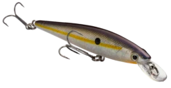 Strike King KVD 100 Series Suspending Shallow Jerkbait -Sport Fishing Shop 32272586604633