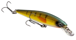 Strike King KVD 100 Series Suspending Shallow Jerkbait -Sport Fishing Shop 32272586637401