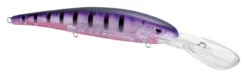 SPRO MadEye Minnow 120 Deep Diving Walleye Trolling Lure -Sport Fishing Shop 32339518750809
