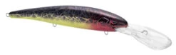 SPRO MadEye Minnow 120 Deep Diving Walleye Trolling Lure -Sport Fishing Shop 32339518914649