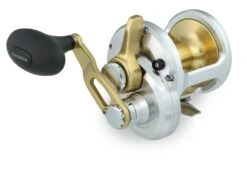 Shimano Talica 1-Speed Lever Drag Conventional Reels -Sport Fishing Shop 32382648057945