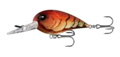 13 Fishing Gordito 2 Inch Medium Diving Crankbait -Sport Fishing Shop 39332617814105