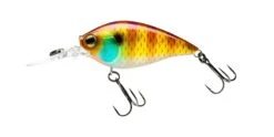 Hardcore Crank MR 60F Medium Crankbait 15 Hardcore Crank MR 60F Medium Crankbait -Sport Fishing Shop 39376023060569