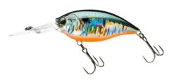 Hardcore Crank 70F 3+ Deep Diving Crankbait -Sport Fishing Shop 39376068968537