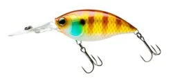 Hardcore Crank 70F 3+ Deep Diving Crankbait