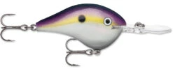 Rapala DT Series Crankbait DT8 -Sport Fishing Shop 39639347069017