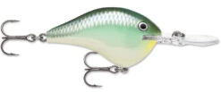 Rapala DT Series Crankbait DT8 -Sport Fishing Shop 39639347167321