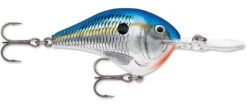 Rapala DT Series Crankbait DT8 -Sport Fishing Shop 39639347200089