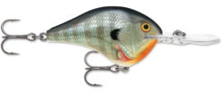 Rapala DT Series Crankbait DT8 -Sport Fishing Shop 39639347232857