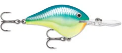 Rapala DT Series Crankbait DT8 -Sport Fishing Shop 39639347265625