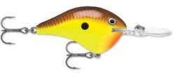 Rapala DT Series Crankbait DT8 -Sport Fishing Shop 39639347298393
