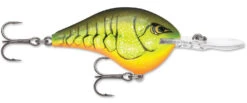 Rapala DT Series Crankbait DT8 -Sport Fishing Shop 39639347331161