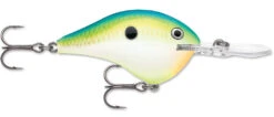 Rapala DT Series Crankbait DT8 -Sport Fishing Shop 39639347363929