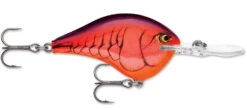 Rapala DT Series Crankbait DT8 -Sport Fishing Shop 39639347462233