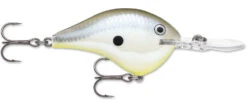 Rapala DT Series Crankbait DT8 -Sport Fishing Shop 39639347495001