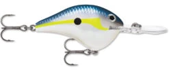 Rapala DT Series Crankbait DT8 -Sport Fishing Shop 39639347593305