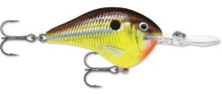 Rapala DT Series Crankbait DT8 -Sport Fishing Shop 39639347626073