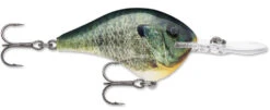 Rapala DT Series Crankbait DT8 -Sport Fishing Shop 39639347658841