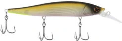 Berkley Stunna Jerkbait -Sport Fishing Shop 39765505114201