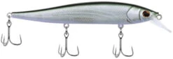 Berkley Stunna Jerkbait -Sport Fishing Shop 39765505409113