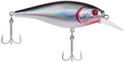 Berkley Flicker Shad Shallow Crankbait -Sport Fishing Shop 39767092887641
