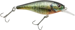 Berkley Flicker Shad Shallow Crankbait -Sport Fishing Shop 39767092920409