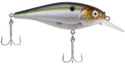 Berkley Flicker Shad Shallow Crankbait -Sport Fishing Shop 39767092985945