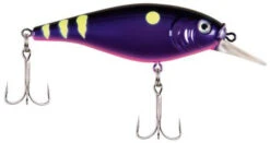 Berkley Flicker Shad Shallow Crankbait -Sport Fishing Shop 39767093379161