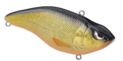 SPRO Aruku Shad 75 Silent -Sport Fishing Shop 39781642993753