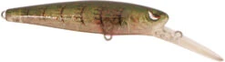 SPRO McRip 85 Jerkbait -Sport Fishing Shop 39781728354393