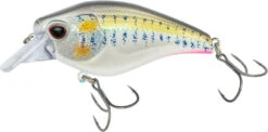 Nomad Design Atlas Squarebill Crankbait 17 Nomad Design Atlas Squarebill Crankbait -Sport Fishing Shop 39840471973977