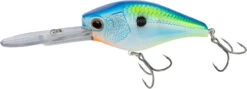 Nomad Design D-Trak Freshwater Extra Deep Diving Crankbait -Sport Fishing Shop 39840486293593