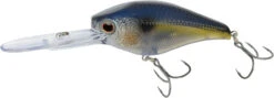 Nomad Design D-Trak Freshwater Extra Deep Diving Crankbait -Sport Fishing Shop 39840486424665