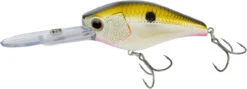 Nomad Design D-Trak Freshwater Extra Deep Diving Crankbait -Sport Fishing Shop 39840486621273