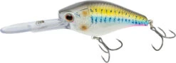 Nomad Design D-Trak Freshwater Extra Deep Diving Crankbait -Sport Fishing Shop 39840486686809