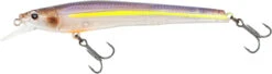 Nomad Design Shikari Freshwater Jerkbait -Sport Fishing Shop 39840502644825