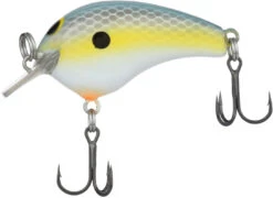Shimano Macbeth Tiny Hybrid Edge SquareBill Crankbait -Sport Fishing Shop 40094936432729