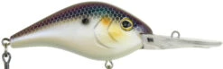 Berkley Dredger Deep Diving Crankbait Deeper Diving Models -Sport Fishing Shop 40325002985561
