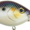 Berkley Dredger Deep Diving Crankbait Deeper Diving Models