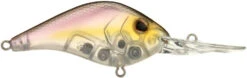 Berkley Dredger Deep Diving Crankbait Deeper Diving Models -Sport Fishing Shop 40325003247705
