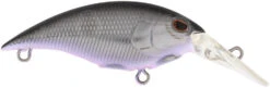 Berkley Money Badger Trolling Plug / Crankbait -Sport Fishing Shop 40326907232345