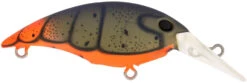 Berkley Money Badger Trolling Plug / Crankbait -Sport Fishing Shop 40326907330649