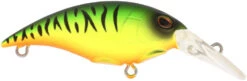 Berkley Money Badger Trolling Plug / Crankbait -Sport Fishing Shop 40326907396185