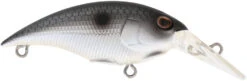 Berkley Money Badger Trolling Plug / Crankbait -Sport Fishing Shop 40326907461721