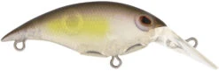Berkley Money Badger Trolling Plug / Crankbait -Sport Fishing Shop 40326907592793