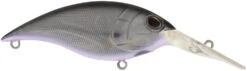Berkley Money Badger Deep Diving Trolling Plug / Crankbait -Sport Fishing Shop 40326922567769
