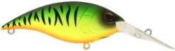 Berkley Money Badger Deep Diving Trolling Plug / Crankbait -Sport Fishing Shop 40326922928217